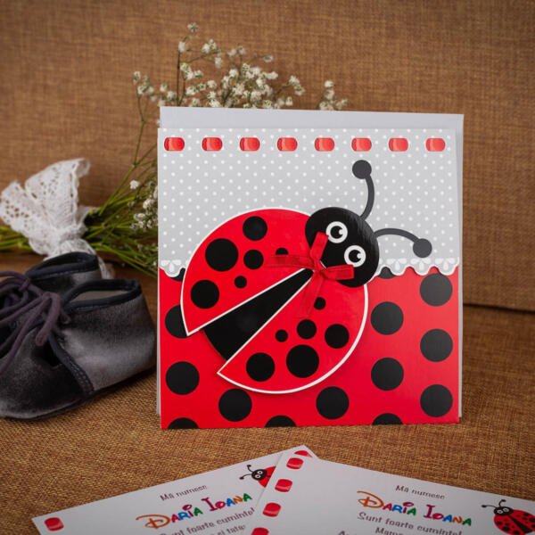 Invitatie de botez cu buburuza 113