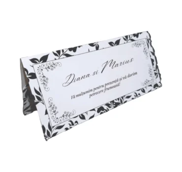 Plic de bani elegant PB201