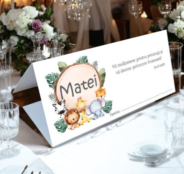 Plic de bani botez cu animalute 02