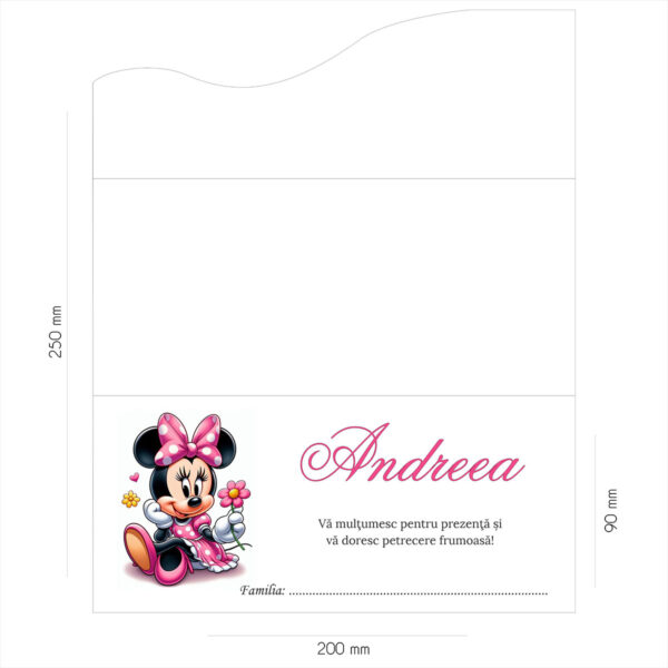 Plic de bani botez cu Minnie Mouse 16 - imagine 2