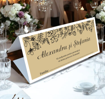 Plic de bani rustic 46