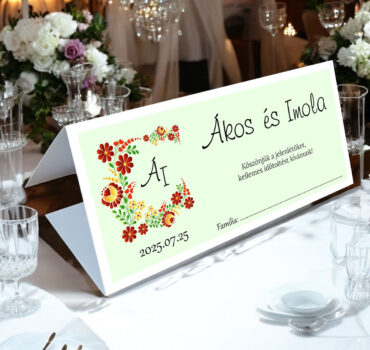 Plic de bani cu motive traditionale maghiare 52